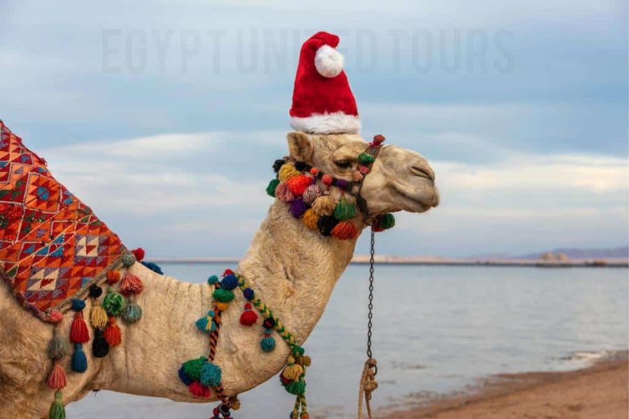 10 Days Egypt Christmas Vacation Package 2025