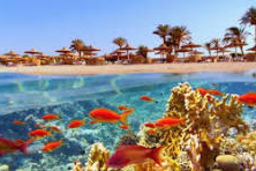 Hurghada Holiday with Nile Cruise and Cairo 2025/2026
