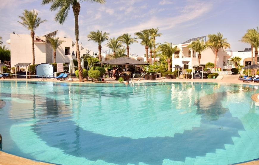 6 Days at Dive Inn Resort in Sharm El Sheikh 2025/2026