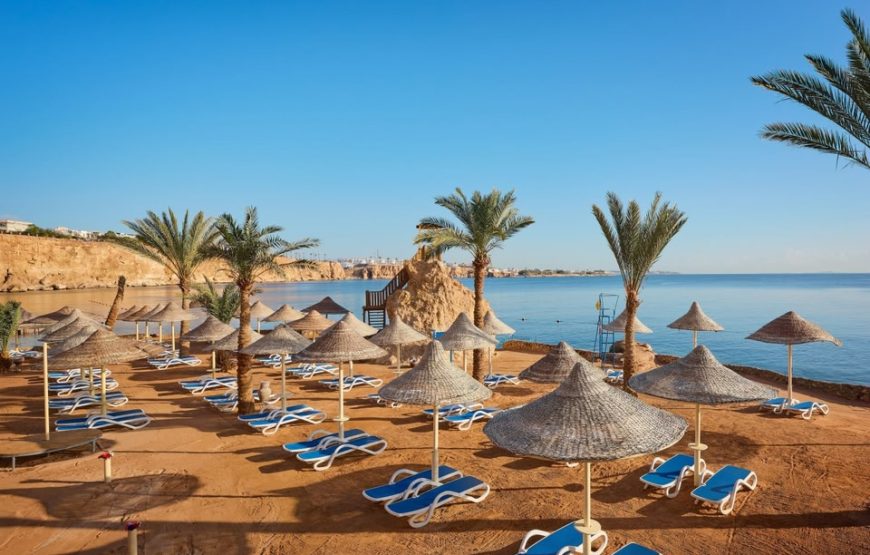 4 Days at Dreams Beach Resort in Sharm El Sheikh 2025/2026