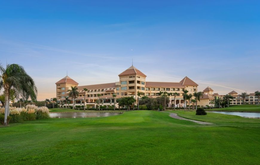 6 Days At Hilton Pyramids Golf Hotel With Tours Included In A Package 2025/2026