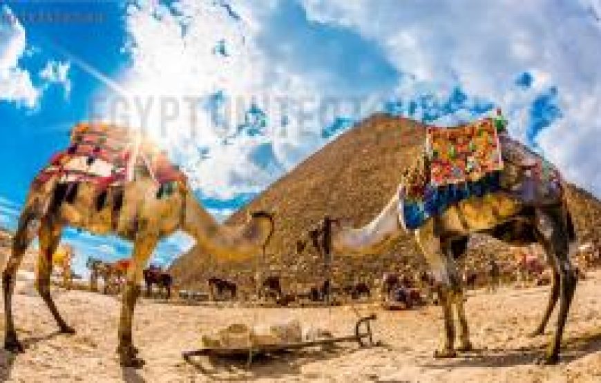 7 Days Cairo and Luxor Tour from Ireland 2025/2026