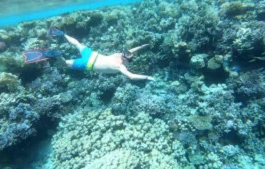 All Inclusive Egypt Vacation Package Pyramids, Abu Simbel 2026/2027