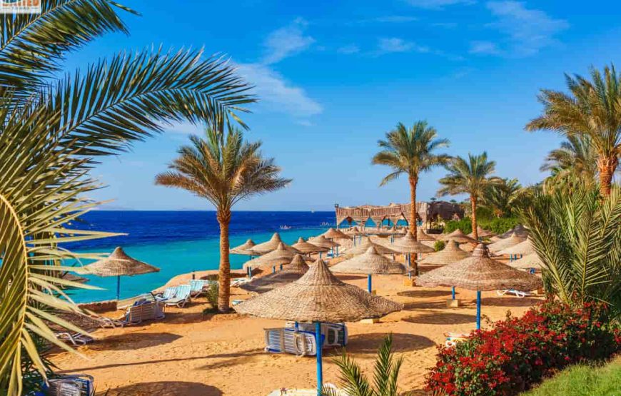 Luxury Egypt 8 Days Trip from Australia: Explore Cairo & Sharm El Sheikh 2026/2027
