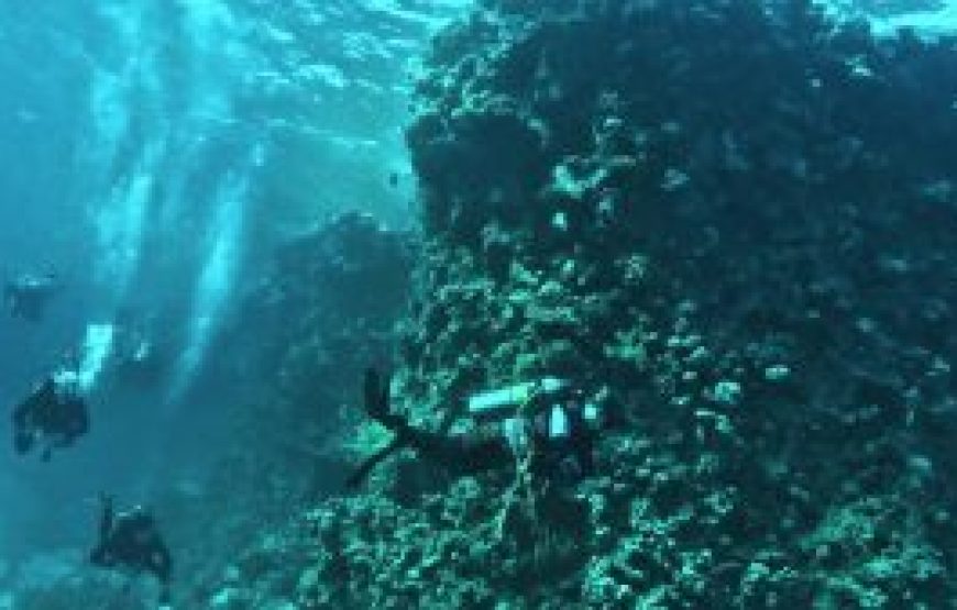 Luxury Egypt 8 Days Trip From Australia with Red Sea Adventure and Comfort